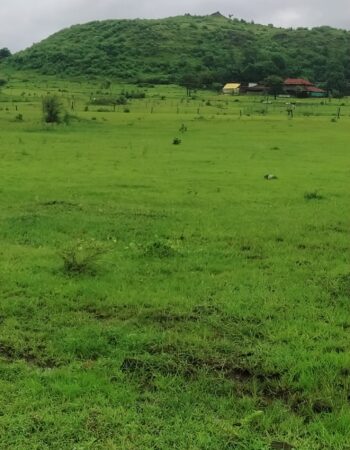 Farmlands in Jabalpur
