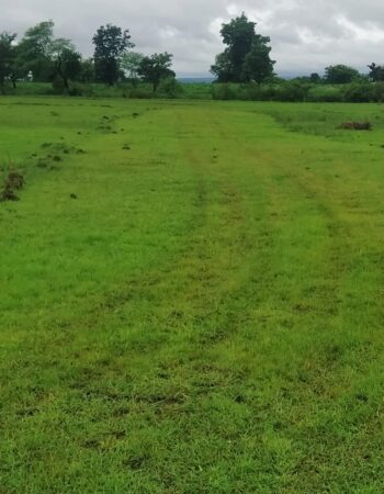 Farmlands in Jabalpur
